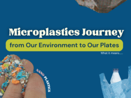 Microplastics Journey