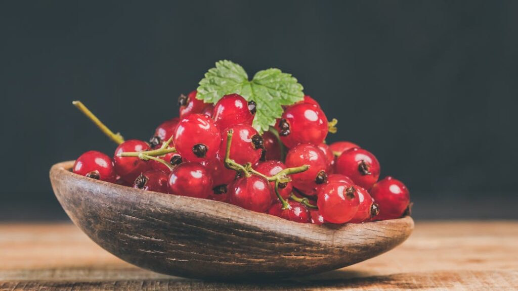 Best Vegetarian Foods