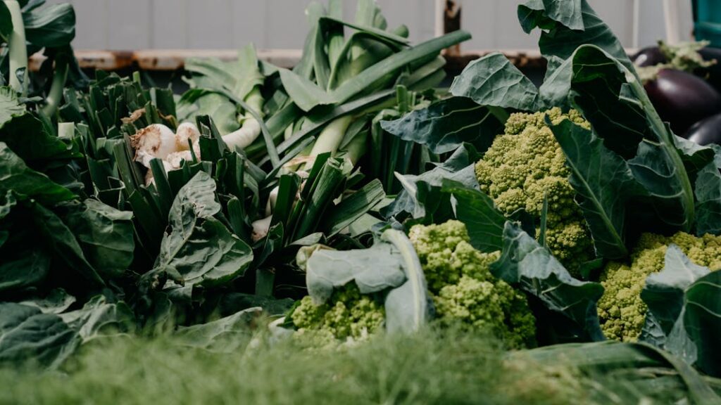 Vegetarian Foods Guide 2025